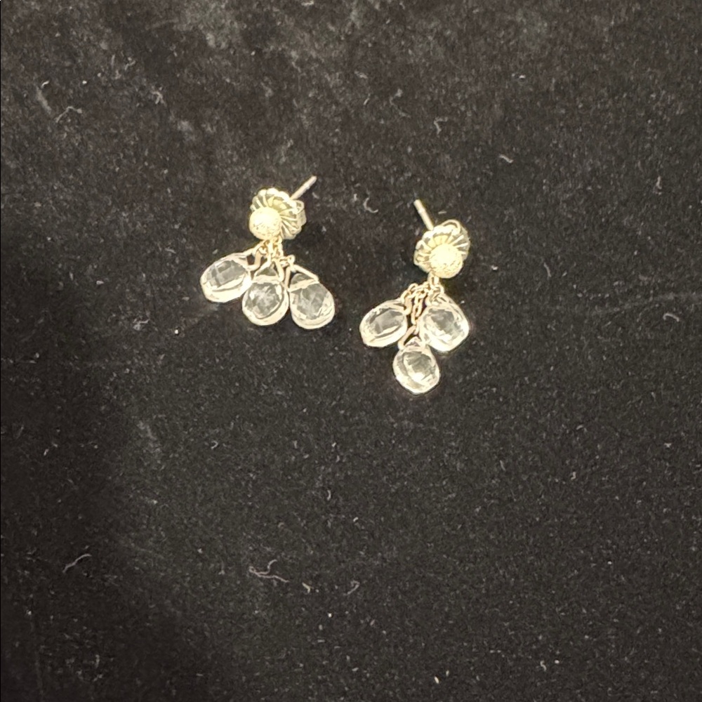 Elegant Silver Drop Earrings EUC
